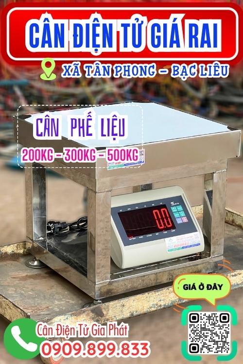 Cân điện tử ở Giá Rai Tân Phong Bạc Liêu - cân phế liệu