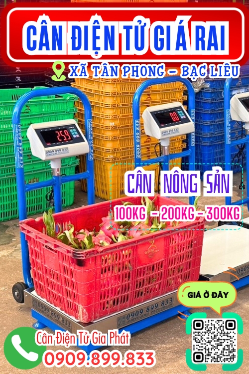 Cân điện tử ở Tân Phong Giá Rai Bạc Liêu - cân bàn có bánh xe di chuyển