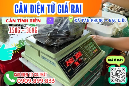CÂN ĐIỆN TỬ TÍNH TIỀN 15KG 30KG Ở GIÁ RAI - BẠC LIÊU