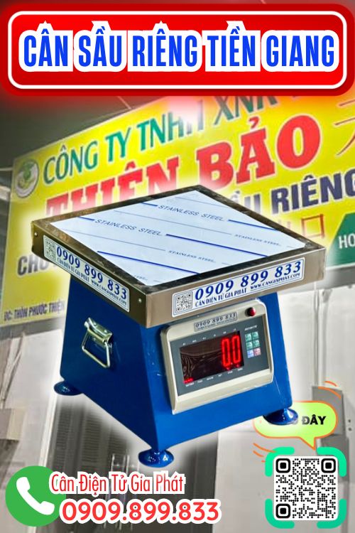 Cân điện tử cân sầu riêng ở Tiền Giang - vựa Thiên Bảo