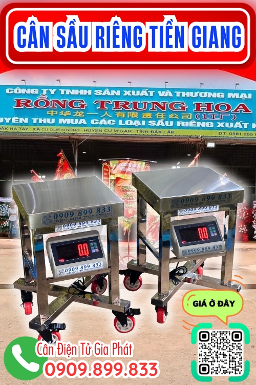 Cân điện tử cân sầu riêng 100kg 200kg 300kg ở Tiền Giang - vựa Rồng Trung Hoa