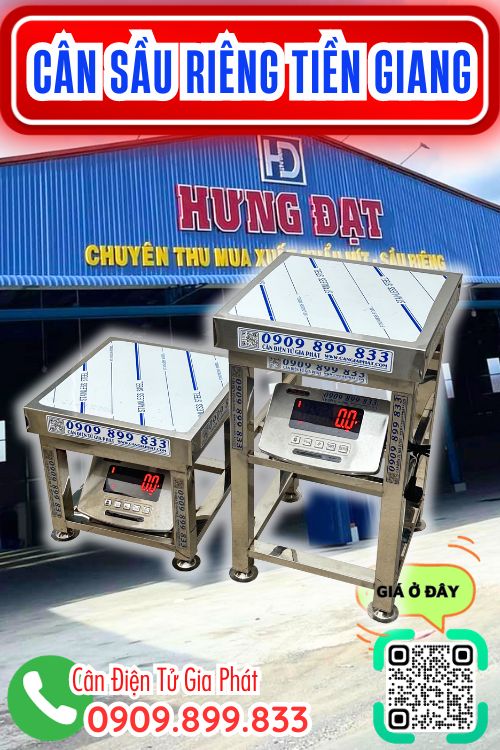 Cân điện tử cân sầu riêng ở Tiền Giang - vựa Hưng Đạt
