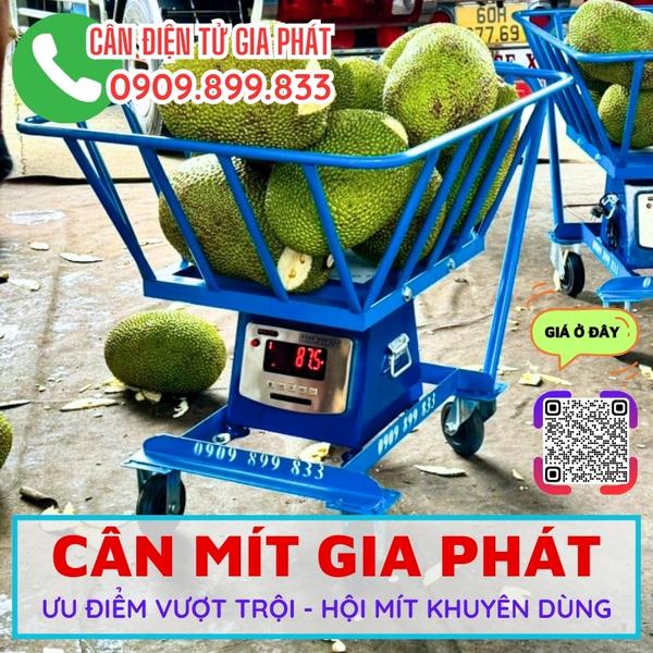 Cân bội mít 300kg thay cho cân đồng hồ 150kg cân mít
