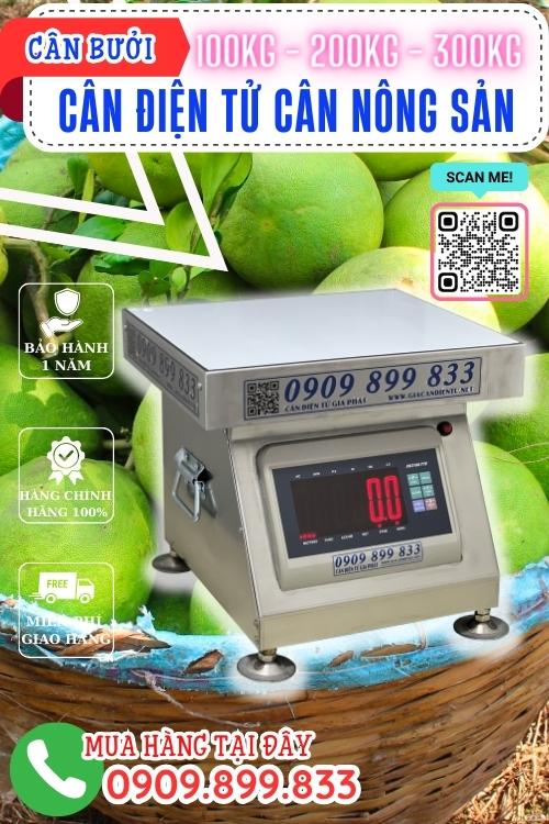 Cân điện tử cân nông sản 100kg 200kg 300kg - cân bưởi 