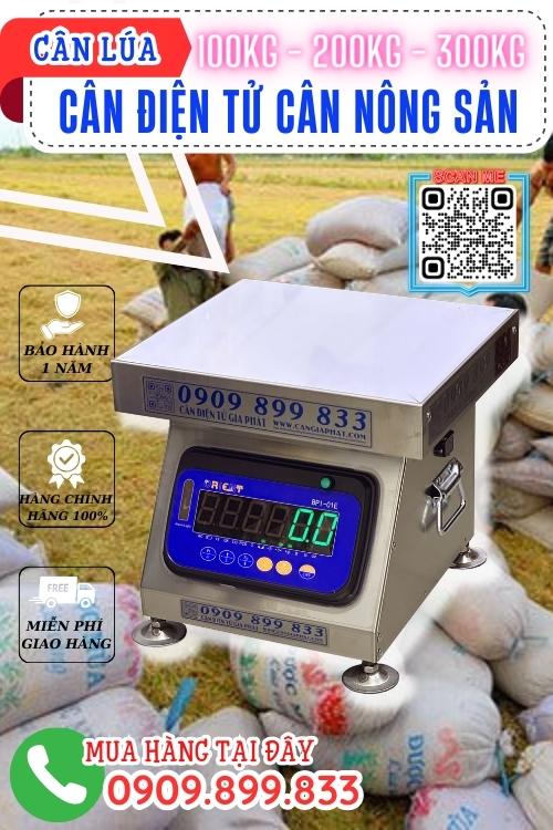 Cân điện tử cân nông sản 100kg 200kg 300kg - cân lúa 