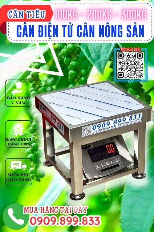 Cân điện tử cân nông sản 100kg 200kg 300kg - cân tiêu DH-A12E