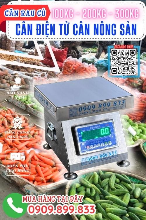 Cân điện tử cân nông sản 100kg 200kg 300kg - cân DS166SS chống nước 