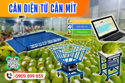 TOP 9 CÁC DÒNG CÂN ĐIỆN TỬ CÂN MÍT XUẤT KHẨU TỐT NHẤT!
