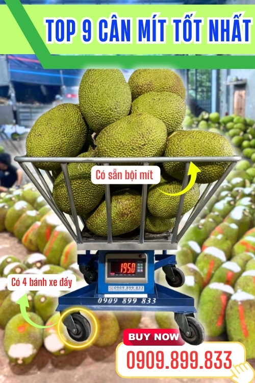 Top 9 cân điện tử cân mít tốt nhất - cân bội mít 200kg 300kg 500kg