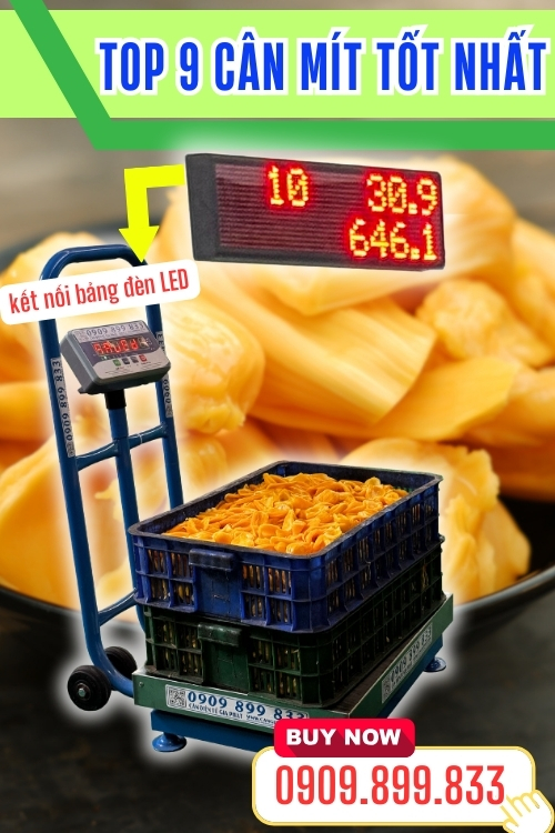 Top 9 cân điện tử cân mít tốt nhất - cân mít múi có bánh xe 