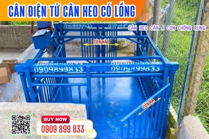 CÂN ĐIỆN TỬ CÂN HEO TỐT NHẤT HIỆN NAY CÂN HEO CHUỒNG TRẠI, CƠ SỞ CHĂN NUÔI!