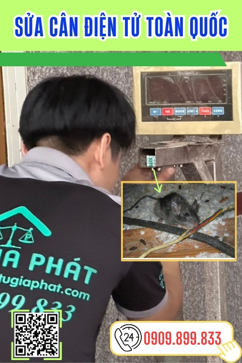 Sửa cân điện tử toàn quốc - cân điện tử Gia Phát